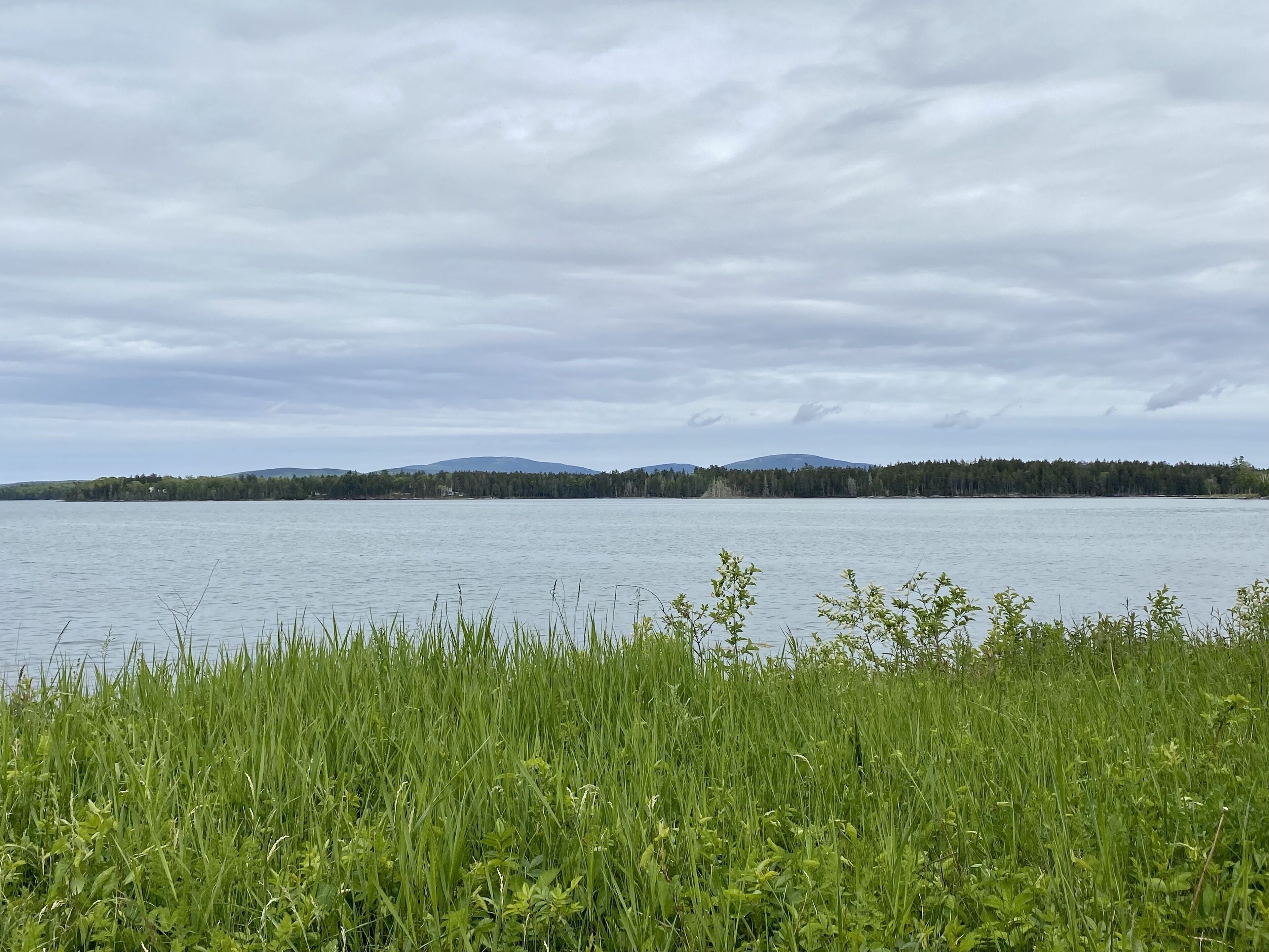A calm lake with a forested shoreline and distant mountains under a cloudy sky.