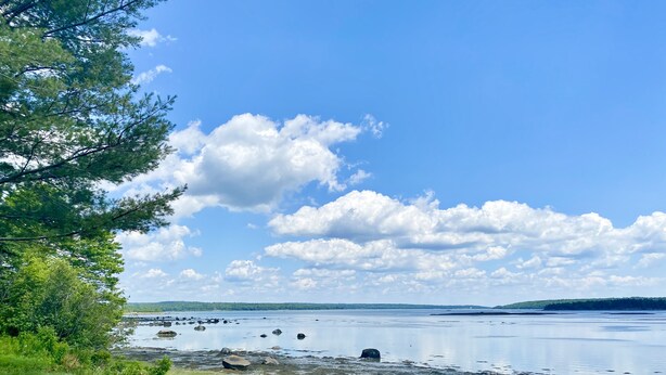 A serene lakeside view with a grassy foreground, trees, and a clear sky. - Island View Hotel Bar Harbor (Trenton)