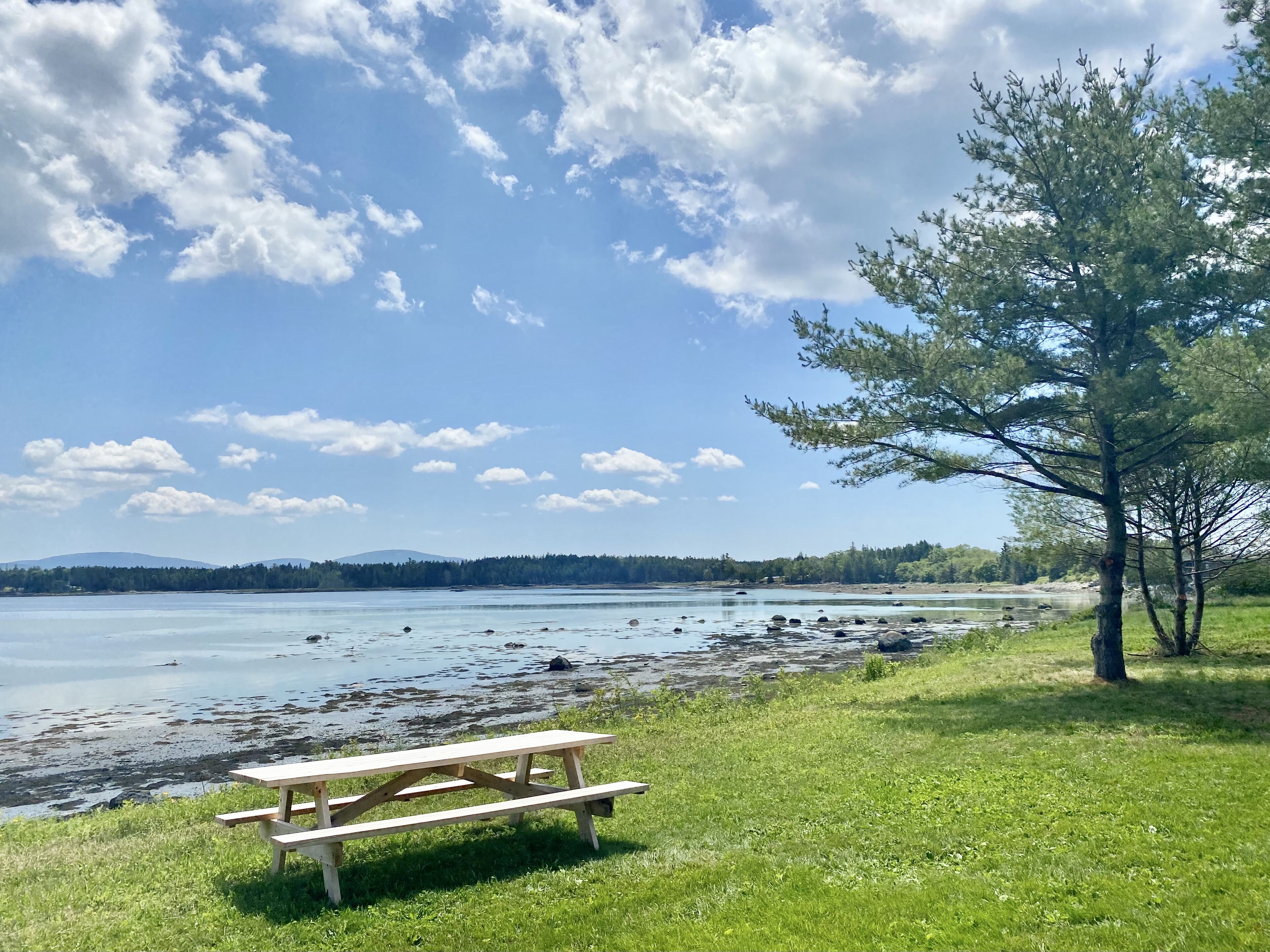 A picnic table by a lake with trees and a clear sky.