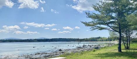 A picnic table by a lake with trees and a clear sky.