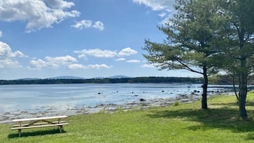 Ein Picknicktisch und ein Baum an einem See unter blauem Himmel.