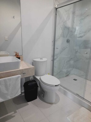 Combined shower/bathtub, hair dryer, towels, soap