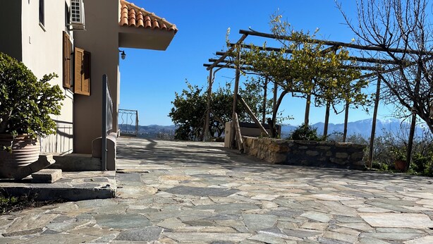 A stone-paved courtyard with a pergola, a potted plant, and a building with a tiled roof.