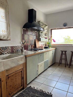 Fridge, oven, stovetop, coffee/tea maker