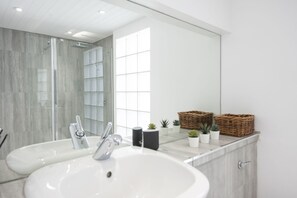 Shower, hair dryer