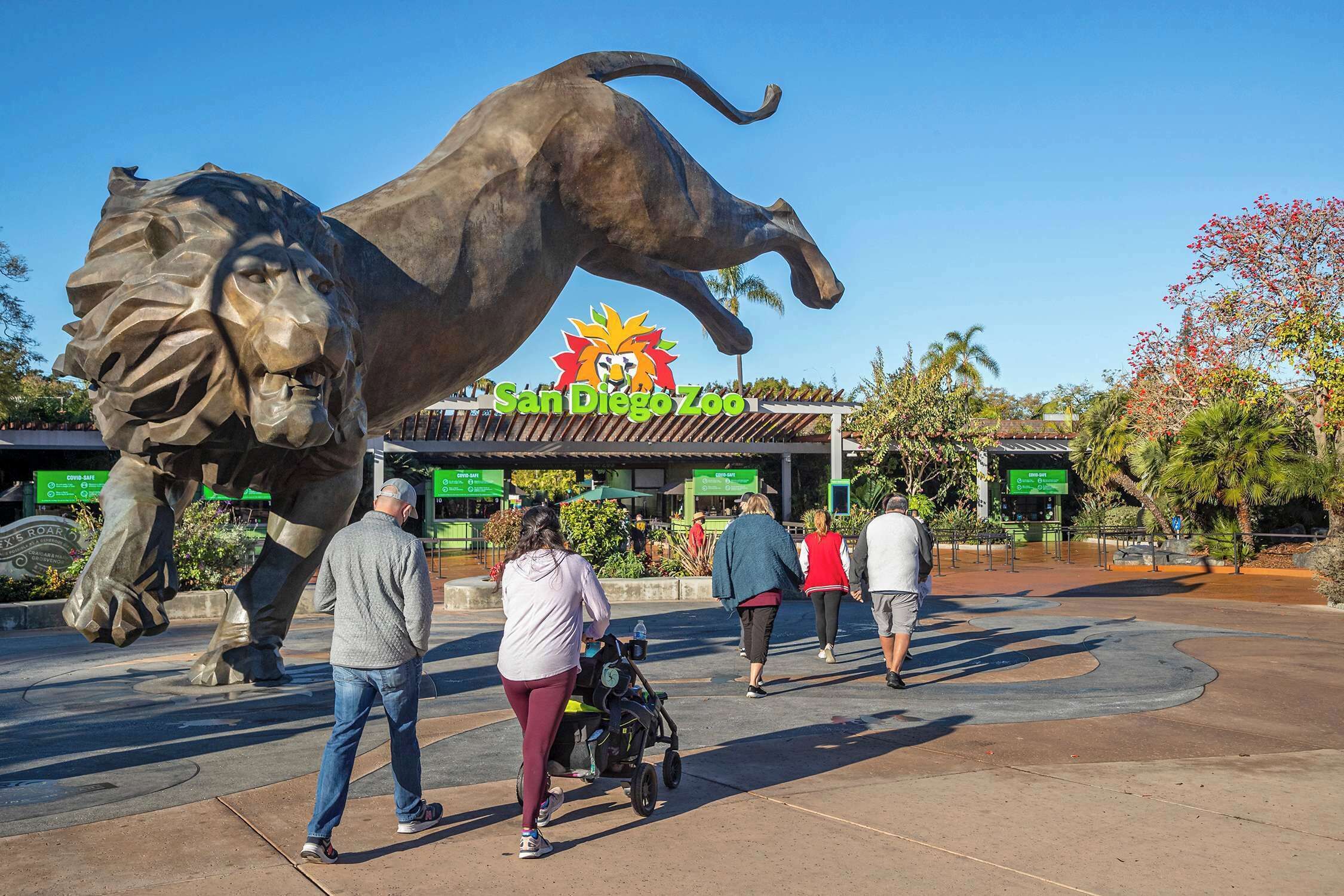 A large bronze lion statue at San Diego Zoo.