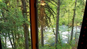 A view through a window with a forest and a river.