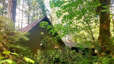 Belknap House on the McKenzie River 