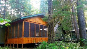 A wooden cabin with large windows, surrounded by dense forest.