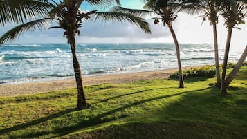 On the beach, sun loungers, beach towels