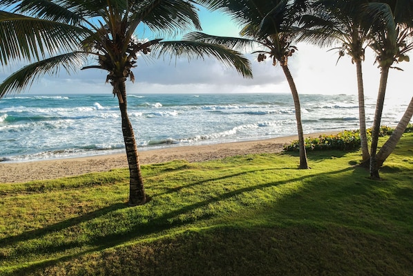 A beach with palm trees and ocean waves.