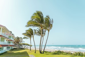 A beachfront property with a pool, palm trees, and a view of the ocean.