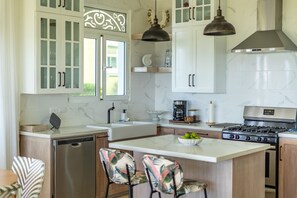 Fridge, oven, stovetop, dishwasher