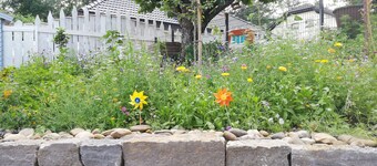 Frisch Renoviertes, Lichtdurchflutetes Apartment!