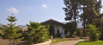 walila farm