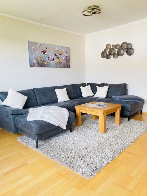 TV connectée, cheminée, lecteur de DVD