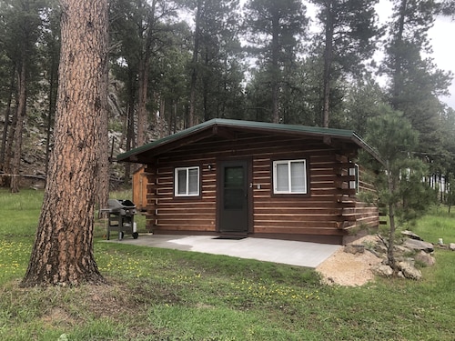 Secluded Cabin in the Heart of the Black Hills 