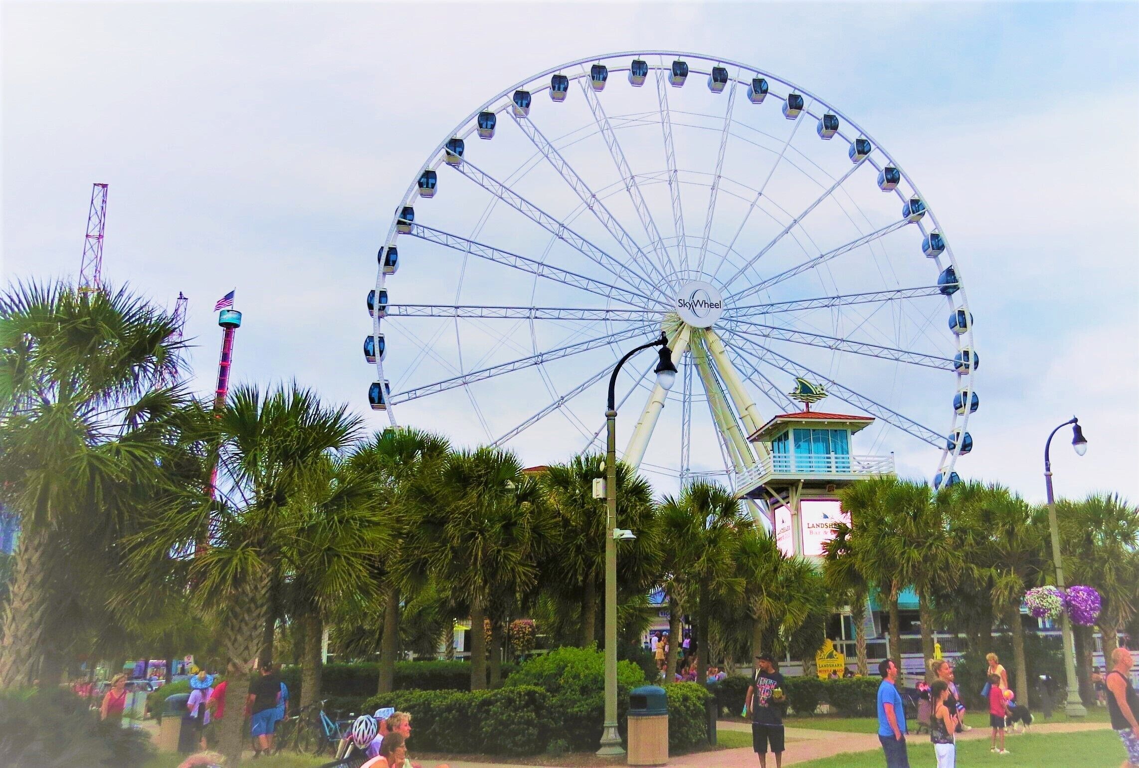 A Ferris wheel with cabins, surrounded by palm trees and a building with a sign.