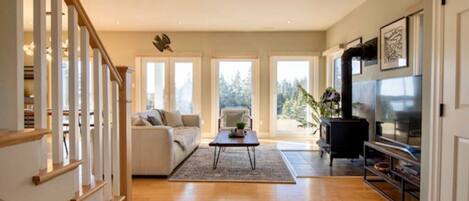 Televisión y chimenea