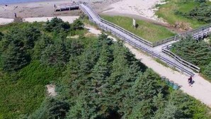 Ein Küstenweg mit einer Brücke, die zu einem Strand führt, umgeben von dichter Vegetation.