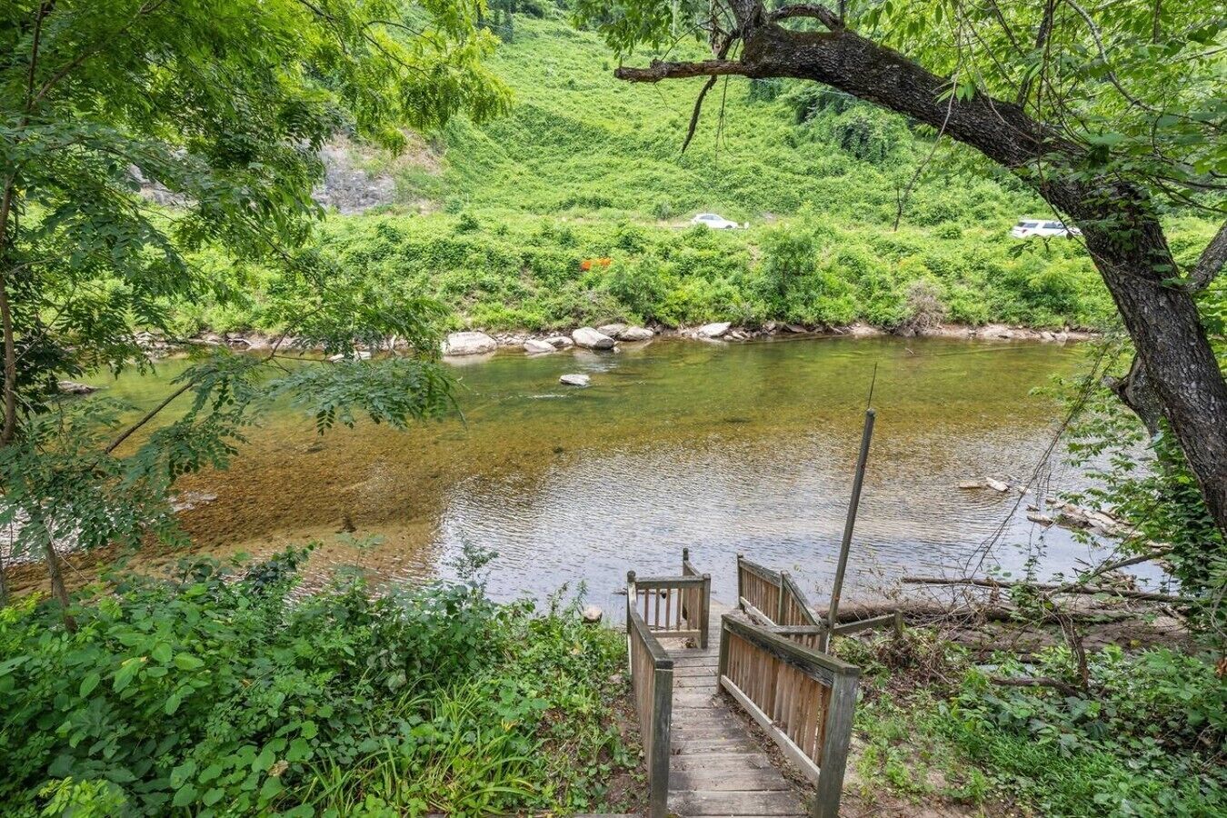 Un puente de madera que conduce a un río rodeado de abundante vegetación.