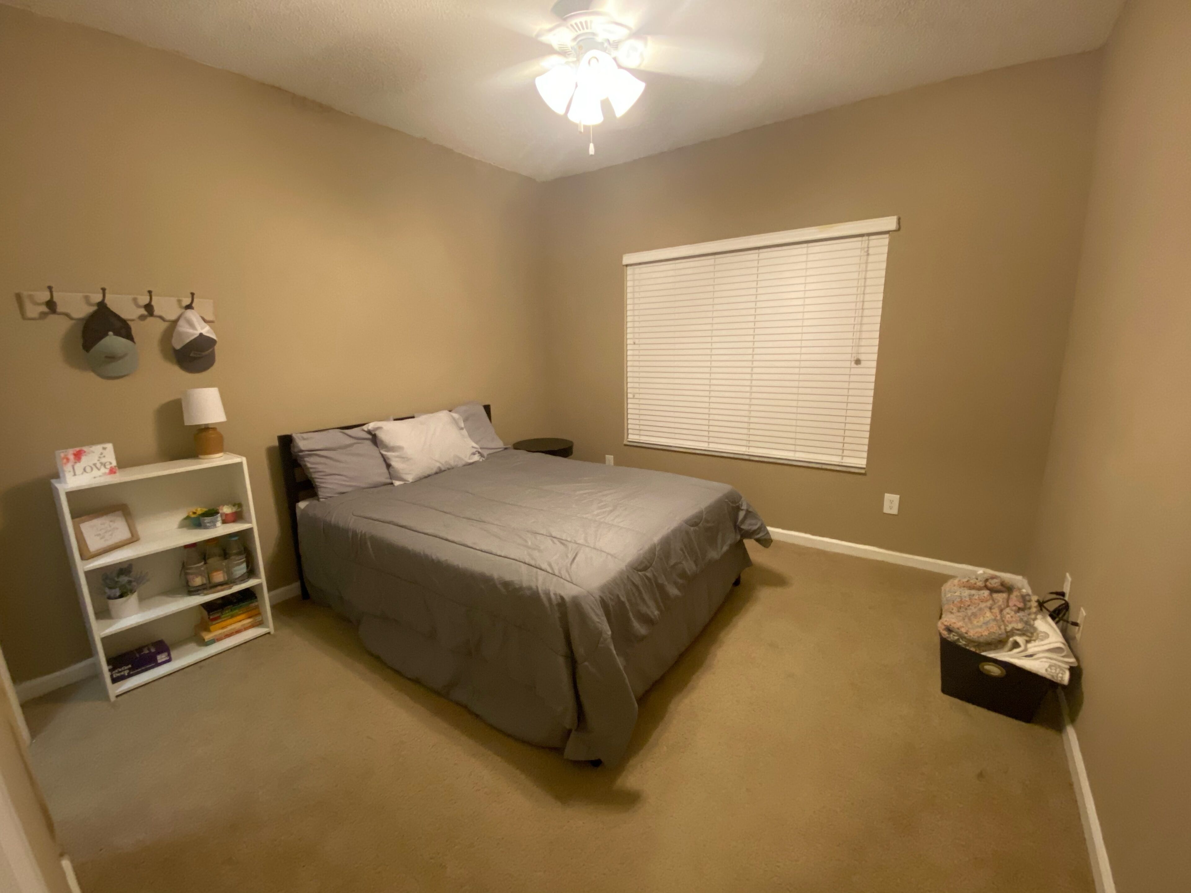 Entire Apartment - Sarasota, FL🐬