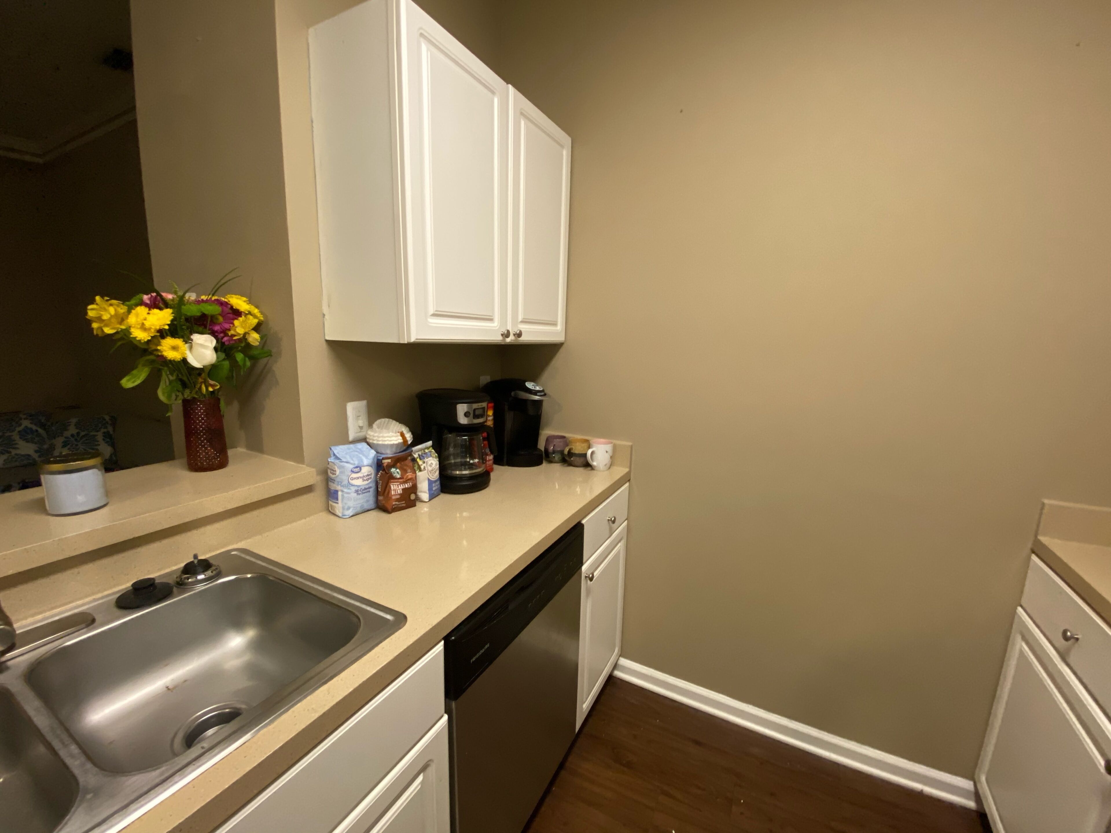 Entire Apartment - Sarasota, FL🐬