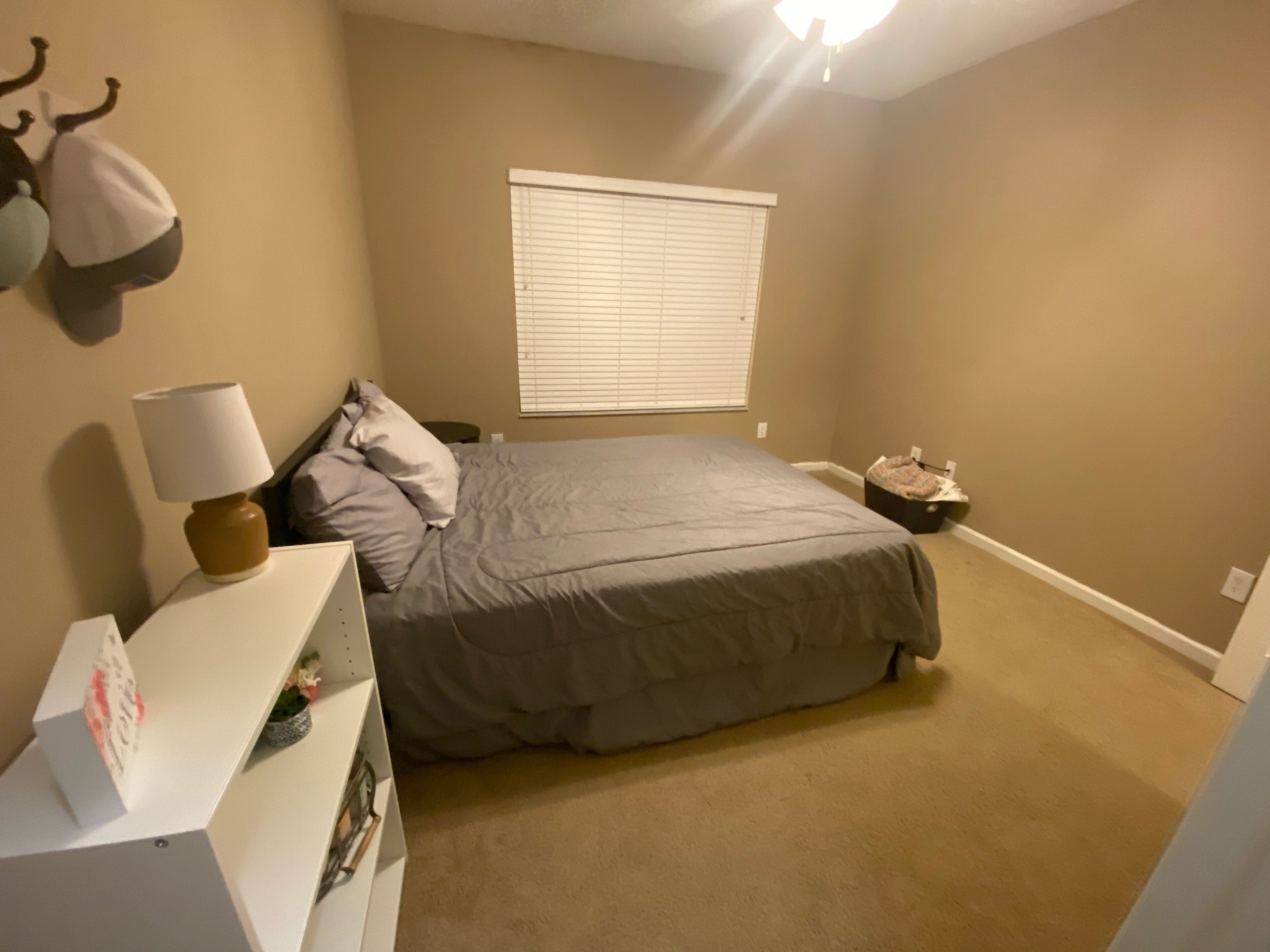 Entire Apartment - Sarasota, FL🐬