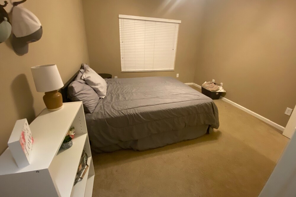 Entire Apartment - Sarasota, FL🐬