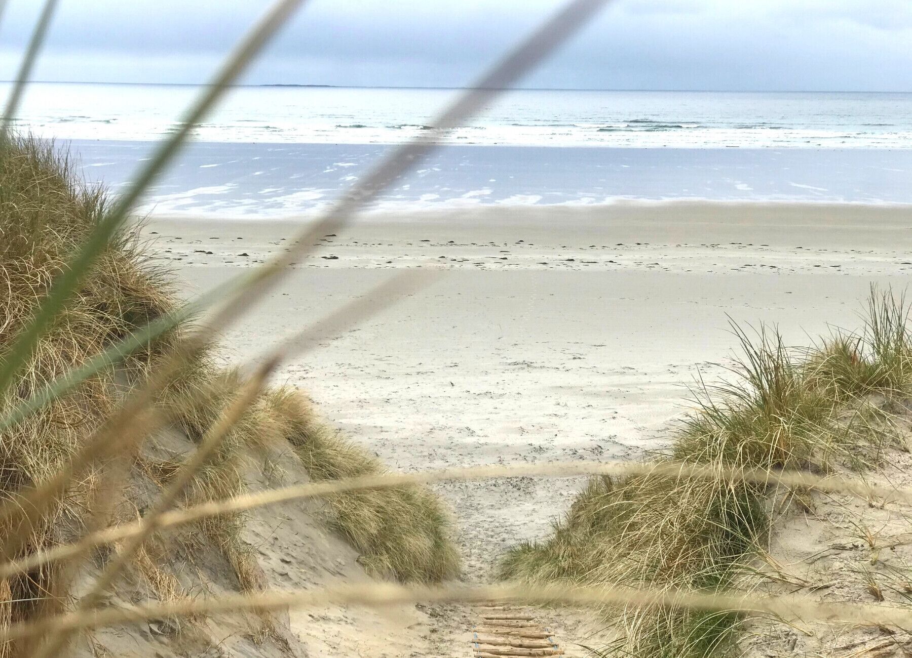 การตกแต่งภายใน