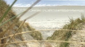 Uma praia com areia e vegetação rasteira.