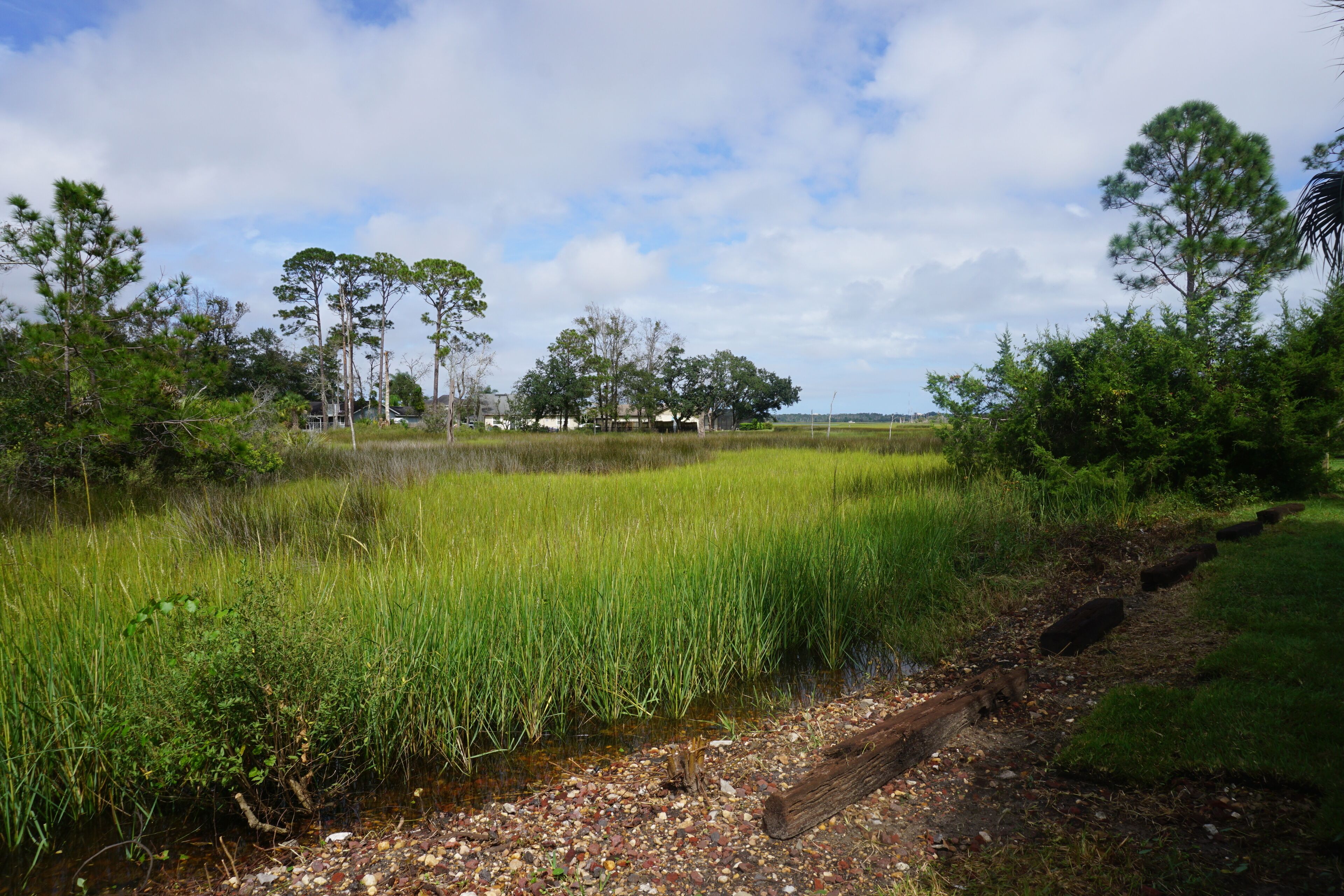 Large Marsh View Home - Near Mayo Clinic and Beaches