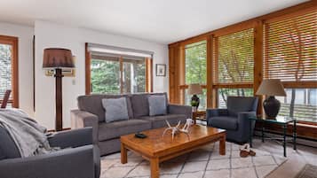 TV connectée, cheminée