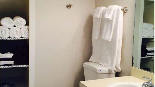 A bathroom with a toilet, a sink, and a towel rack. - Upscale And Urban In The City (Columbia)