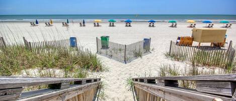 Playa en los alrededores