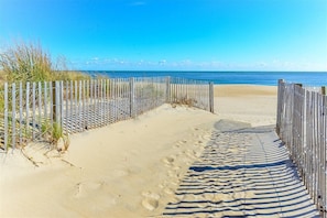 On the beach