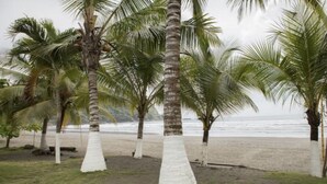 Una playa con palmeras y vista al océano.
