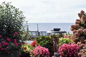 A garden with various flowers and a table with a bowl. - Beachfront on Private Beach w/ AC! (Truro)