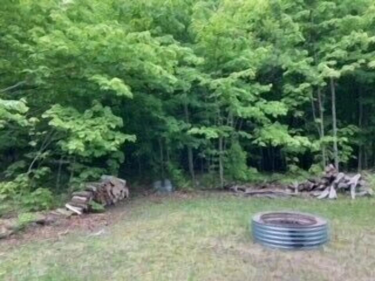 one bedroom camp in the woods minutes from Sleeping Bear National Park