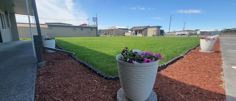A landscaped area with a grassy lawn, a flower pot with purple flowers, and a red mulch border.