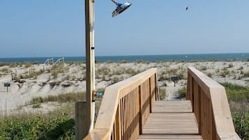 Ubicación a pie de playa, tumbonas y toallas de playa