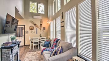 TV, fireplace, books, video library