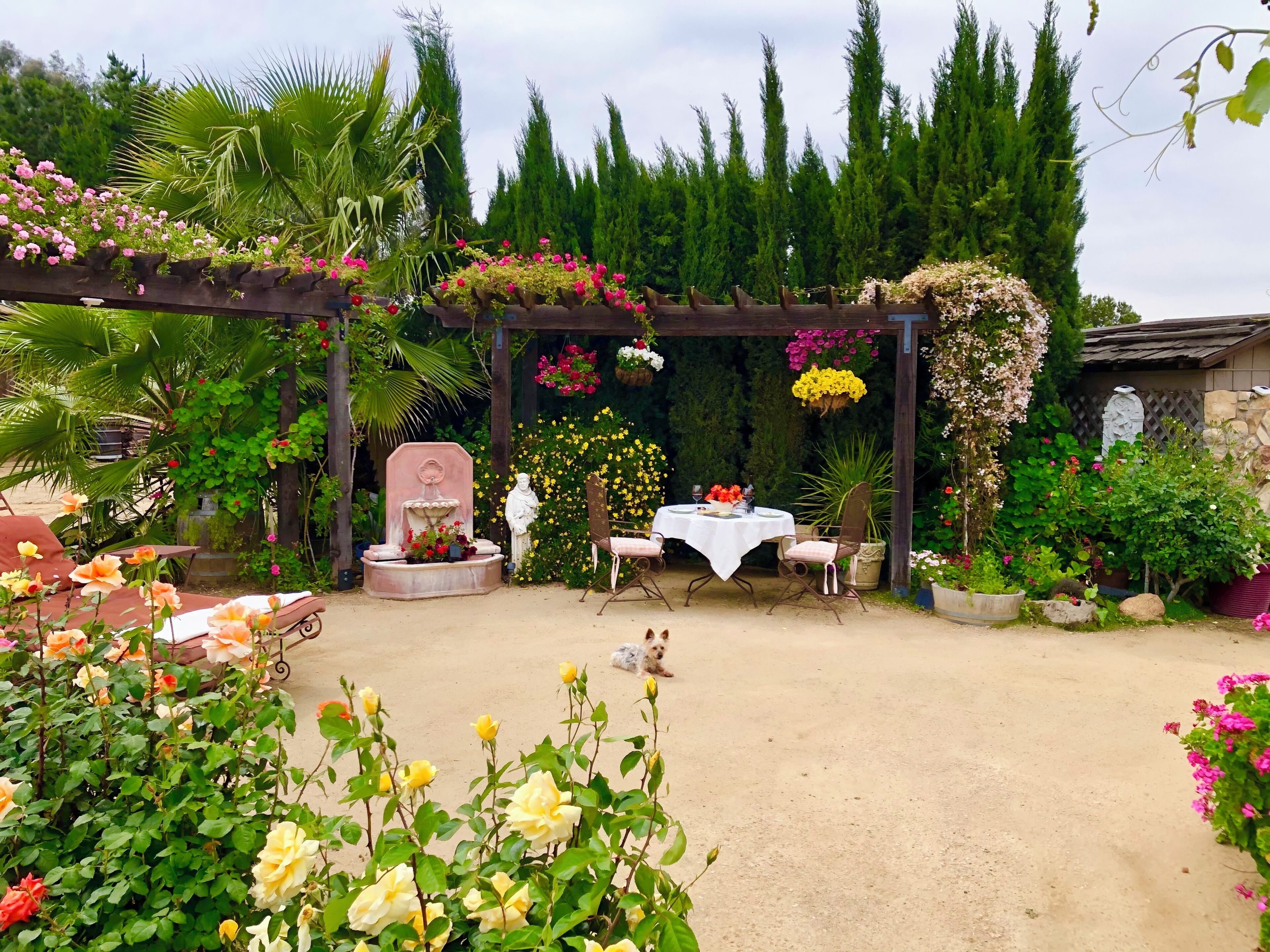 Restaurante al aire libre