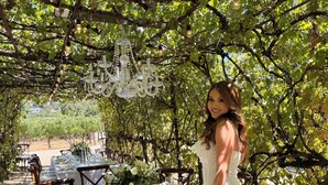 Un'area pranzo all'aperto con tavoli apparecchiati per un pasto, circondata da alberi e un lampadario decorativo.