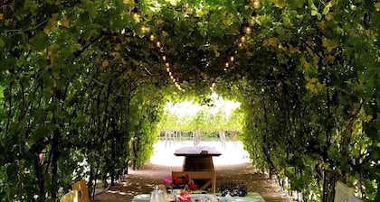 Tuscan villa nestled in the vineyard - Villa Riposo