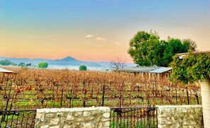 Terrain de l’hébergement 