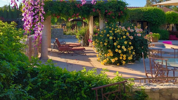 Un giardino con fiori viola pendenti, un gazebo e un cespuglio di rose gialle.