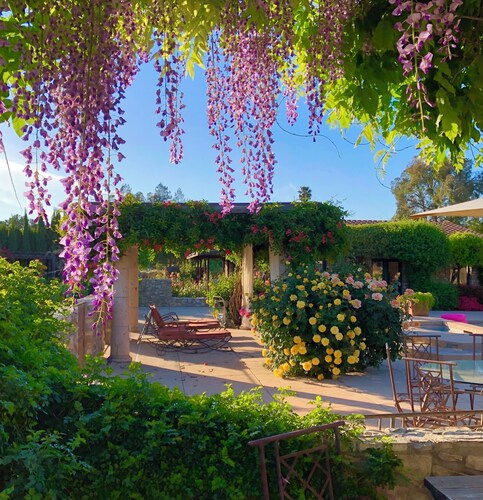 Tuscan villa nestled in the vineyard - Villa Riposo