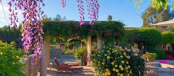 Tuscan villa nestled in the vineyard - Villa Riposo