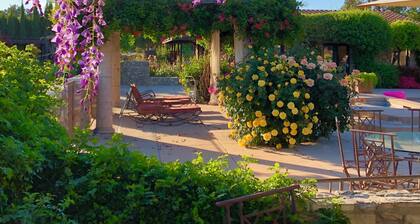 Tuscan villa nestled in the vineyard - Villa Riposo